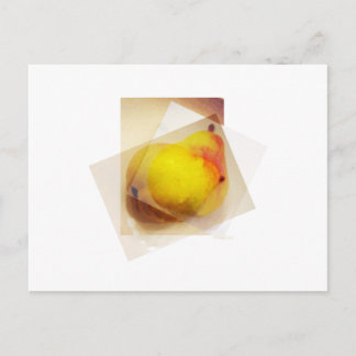 PEARS VYKORT