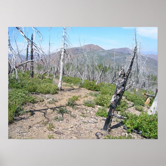 Pearsoll Peak Fire Lookout Kalmiopsis Wilderness Poster (Framsidan)