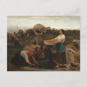 Peasant Women Harvesting Rapeseed av Jules Breton Vykort
