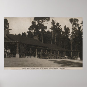 Pebble Beach CA - loge i granarna vid havet Poster