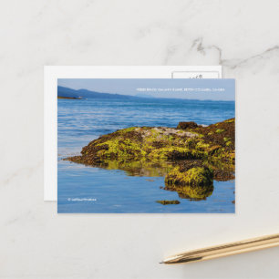 Pebble Beach, Galiano Island, British Columbia Vykort