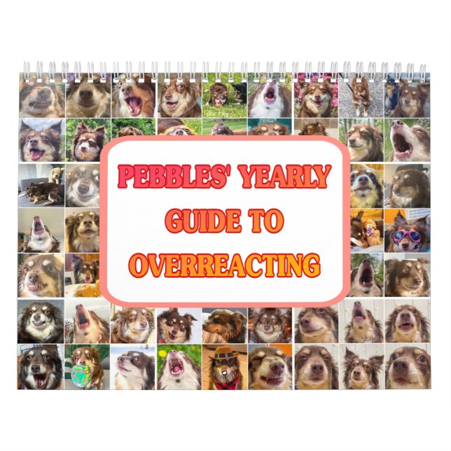 Pebbles' Calendar Kalender (Omslag)