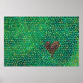Pebbles konsttryck poster