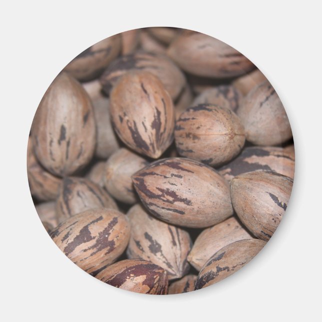 Pecan Magnet (Framsidan)