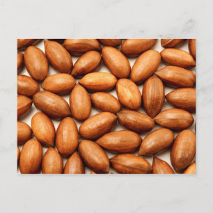 Pecan nöt vykort