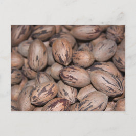 Pecan-vykort Vykort