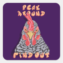 Peck Around Find Out - Kycklingsordning