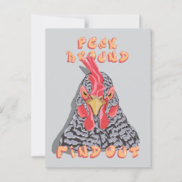 Peck Around Find Out - Kycklingsordning Vykort