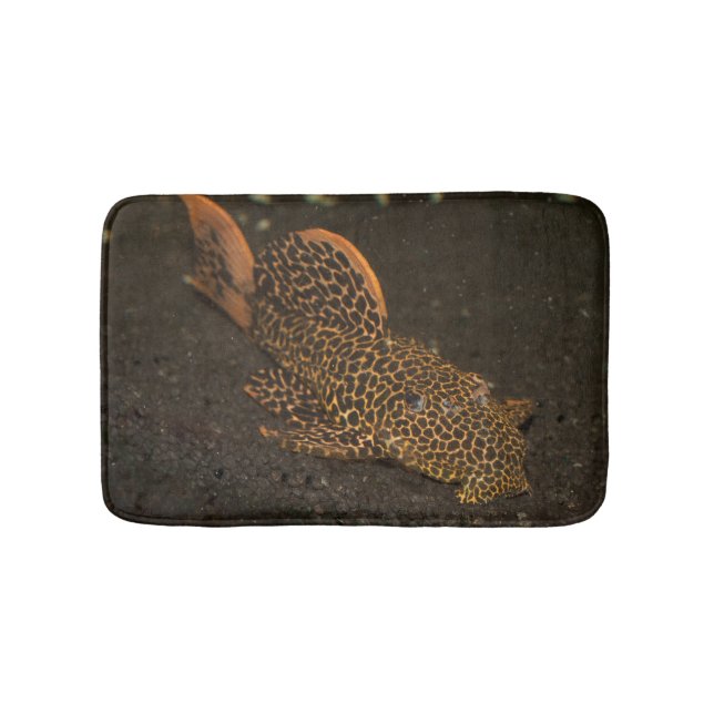 Peckoltia Compta Badrumsmatta (Framsidan)