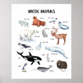 Pedagogisk klassrumsposter om arktiska djur poster