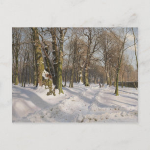 Peder Monsted - Snowy-skogsväg i solljus Vykort