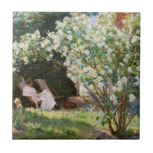 Peder Severin Kroyer - Ro Kakelplatta