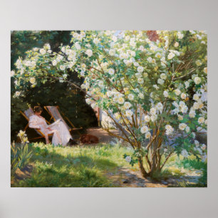 Peder Severin Kroyer - Rosor Poster