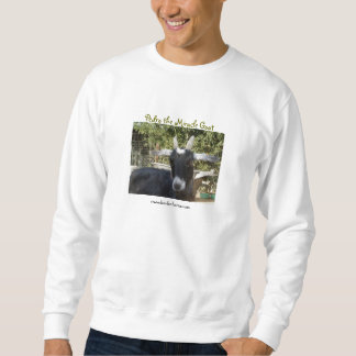 Pedro i våren sweatshirt
