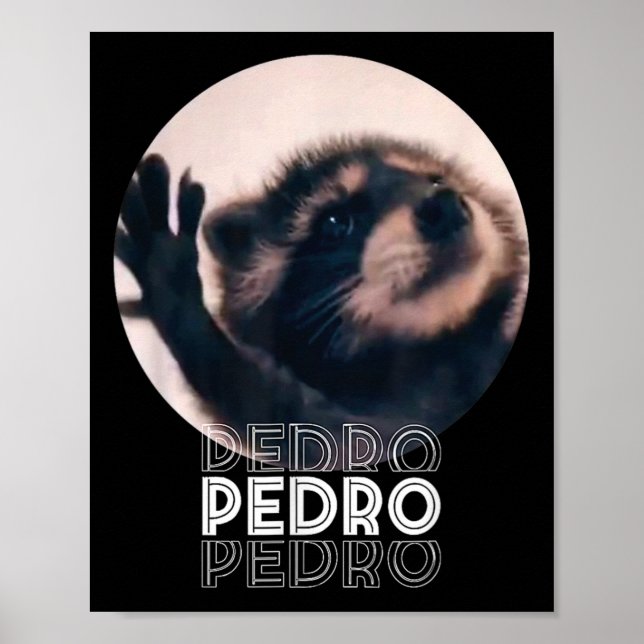 Pedro Racoon Dance Popular Internet Meme Mapache D Poster (Framsidan)