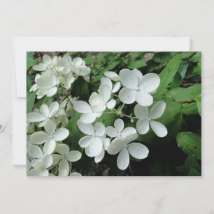 Pee Gee Hydrangea Flowers Monogrammad Blank Note Kort