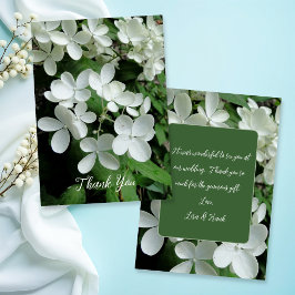 Pee Gee Hydrangea White Flowers Blank Flat Kort