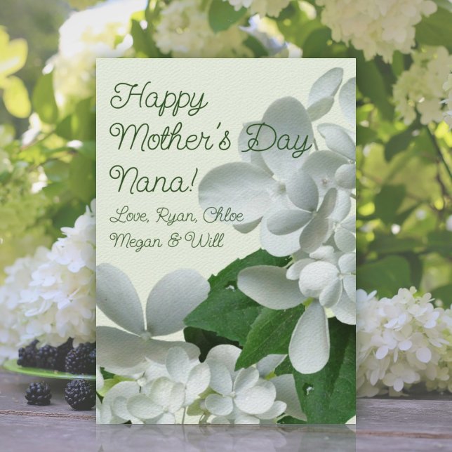 Pee Gee White Hydrangea Flowers Mors dag Card Inbjudningar (Skapare uppladdad)
