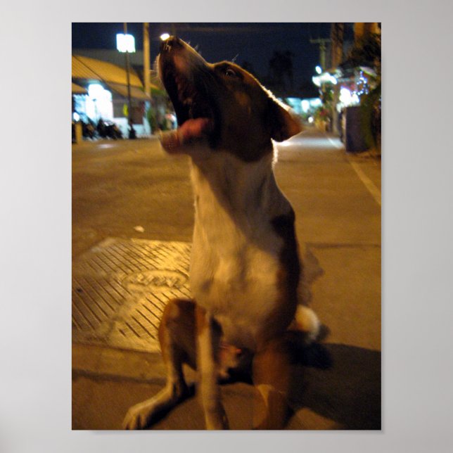 Pee Mai ... Soi Hund, Thailand Poster (Framsidan)