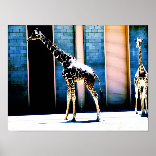 Peeing Giraffe Poster (Framsidan)