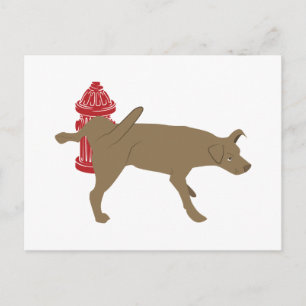 Peeing Hund Vykort