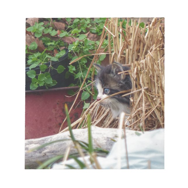 Peek-a-Boo Anteckningsblock (Framsida)