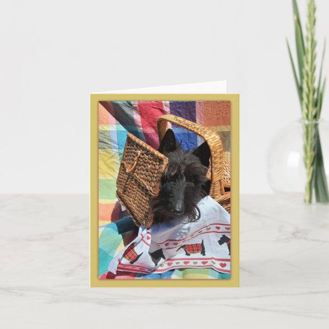 Peek-a-Boo Anteckningskort (Framsida)