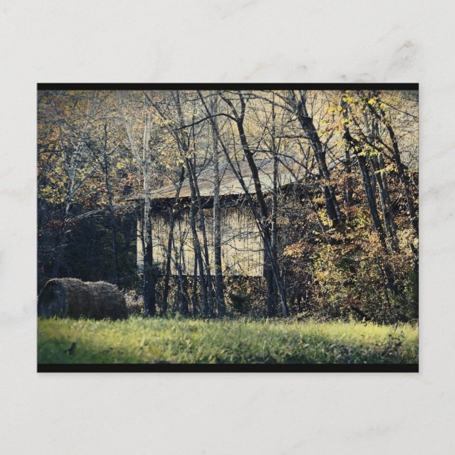 Peek-a-Boo Barn Vykort (Framsida)