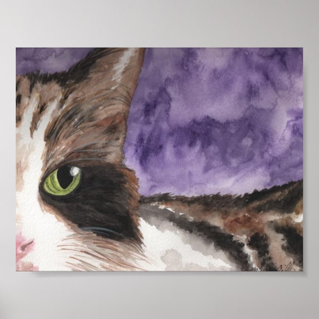 Peek a boo Calico Kattunge Poster (Framsidan)