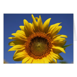 Peek a boo hälsningskort