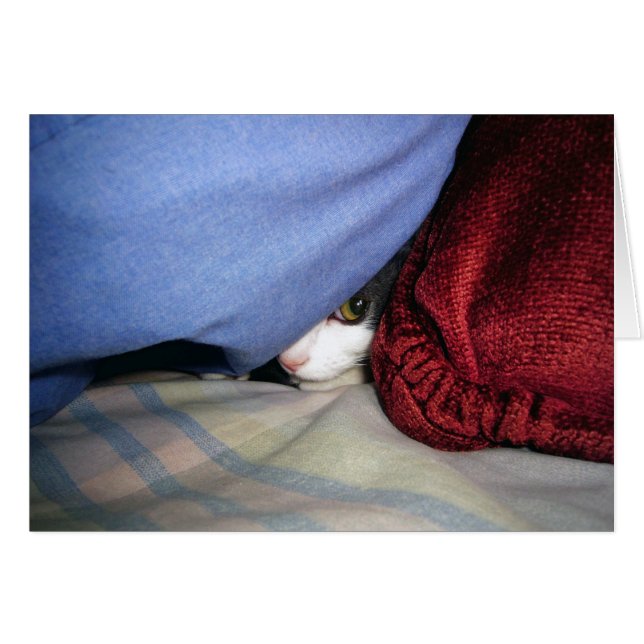 Peek a Boo Hälsningskort (Framsidan Horizontal)