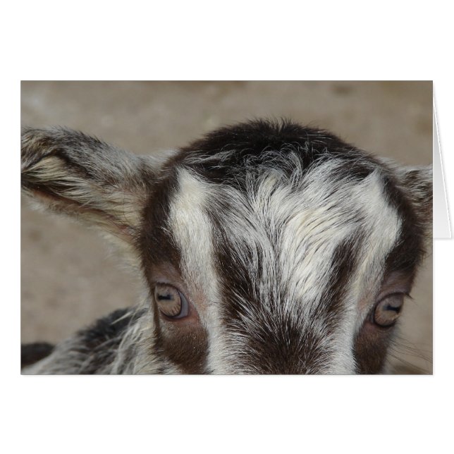 Peek-A-Boo Jag ser dig Hälsningskort (Framsidan Horizontal)