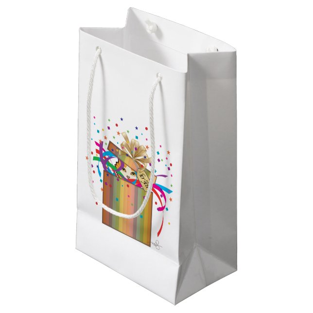 Peek-a-boo-katt i en låda (Framsidan Vinklad)