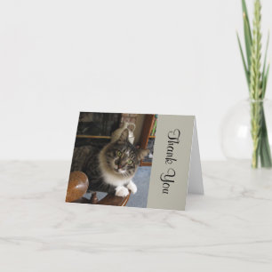 Peek-a-Boo Kattunge Tackkort-kort Tack Kort
