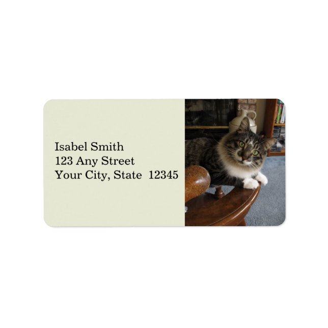 Peek-a-Boo Kattunge Zorro Adressetiketter (Framsidan)