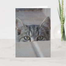 Peek-a-boo kitten Birthday Card