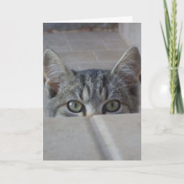 Peek-a-boo kitten Birthday Card Kort