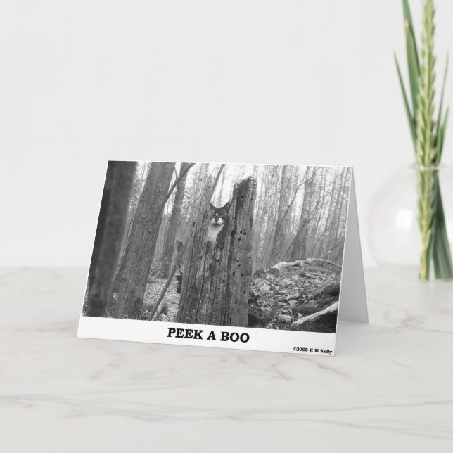 PEEK A BOO KORT (Framsida)