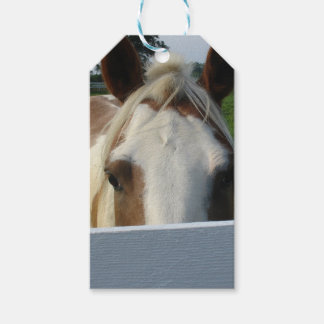 Peek a Boo Palominohäst Bakom Staket Presentetikett