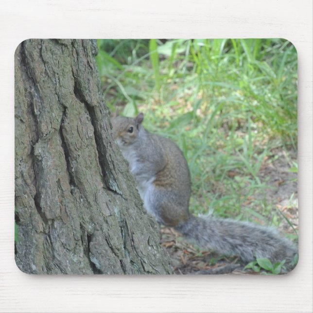 Peek A Boo Squirrel - Musmatta (Framsidan)