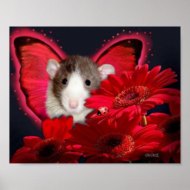 Peek-a-boo, vi ses! Poster (Framsidan)