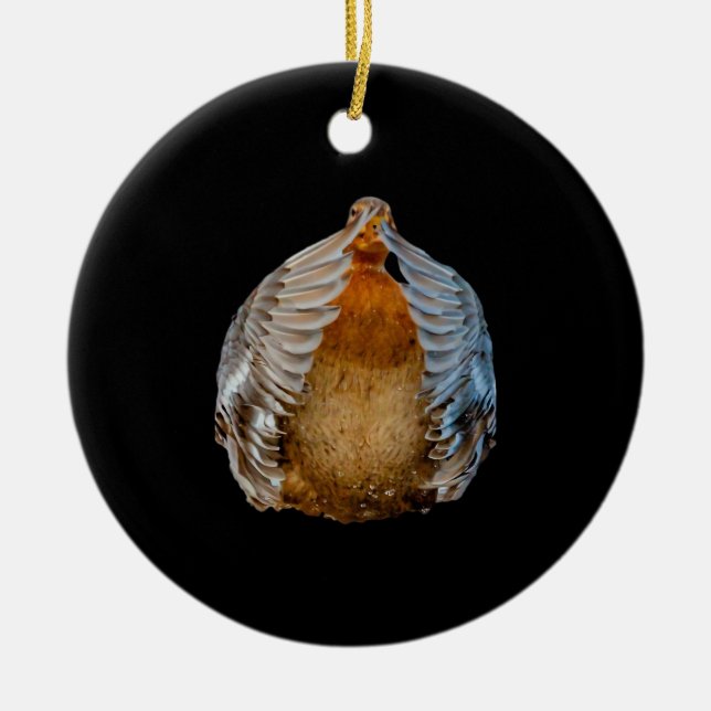 Peekaboo Anka Julgransprydnad Keramik (Framsidan)