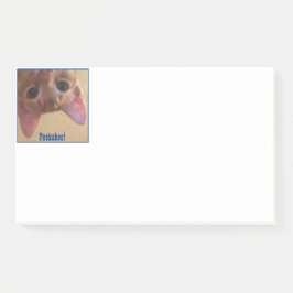 Peekaboo! Arkie ser dig! Post-it Block
