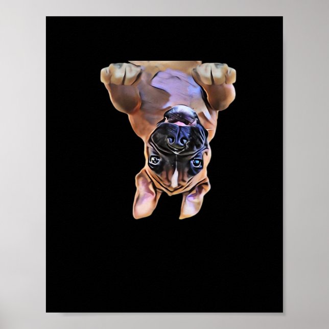 Peekaboo Boxer Poster (Framsidan)