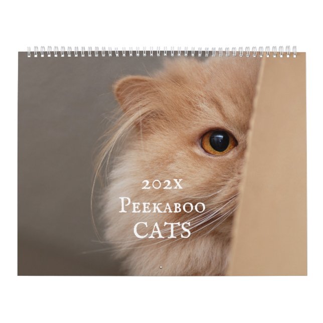 Peekaboo Cat Calendar Kalender (Omslag)
