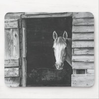 Peekaboo Grått Mare Horse
