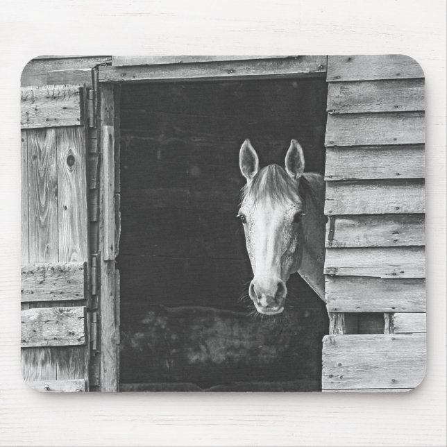 Peekaboo Grått Mare Horse Musmatta (Framsidan)