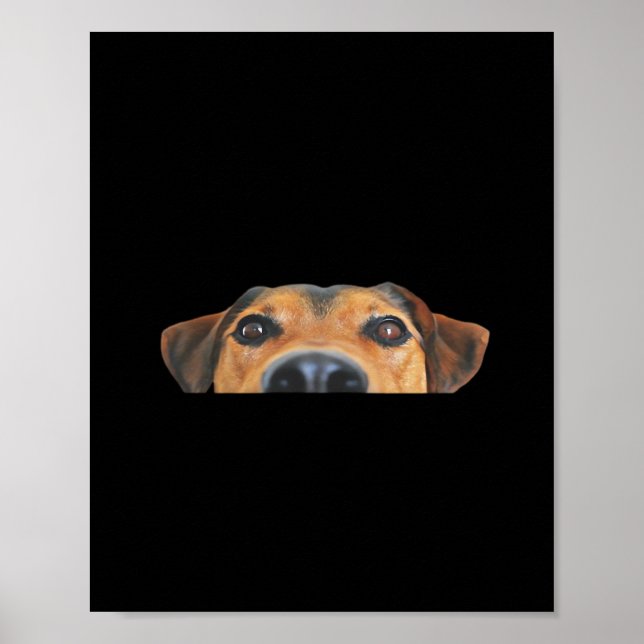 Peekaboo Hund Poster (Framsidan)