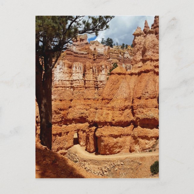 Peekaboo Loop till Bryce Point Bryce Canyon Nation Vykort (Framsida)