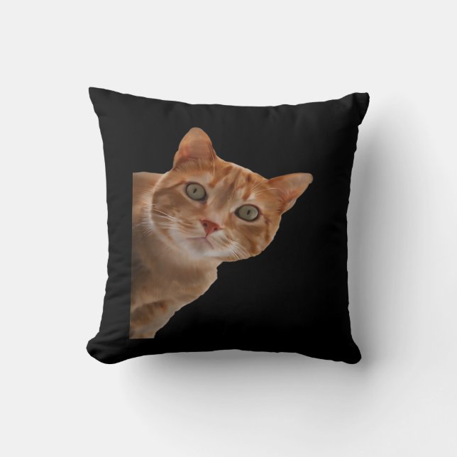 Peekaboo-målarfärg Kudde (Framsida)